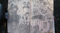 One Piece 557 Spoiler pics
