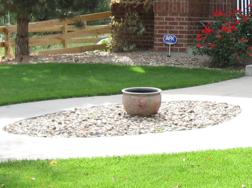 New Shade of Green Before & After Front Yard Centerpiece