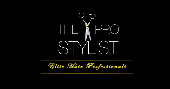 The Pro Stylist