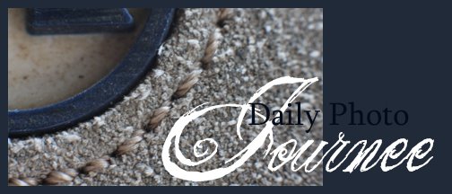 Daily Photo Journee