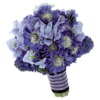 scabiosa_hyacinths.jpg