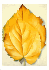 [YellowLeaves.gif]
