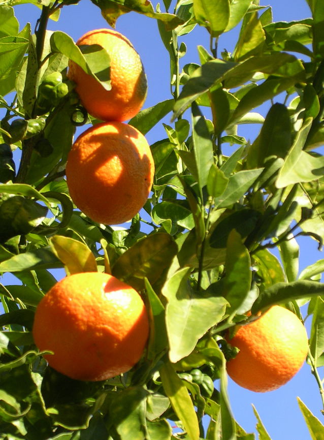 [image0004.jpg]
