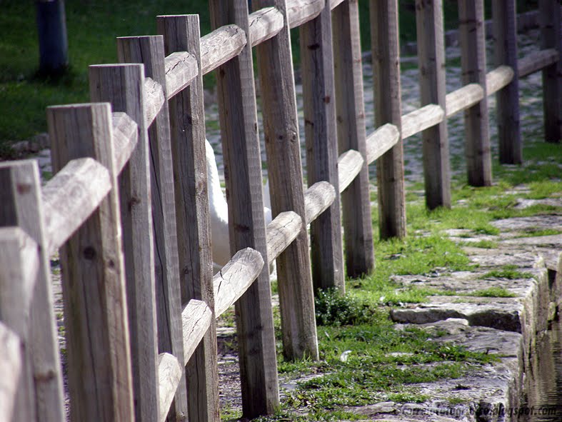 [PC120047+copy.jpg]