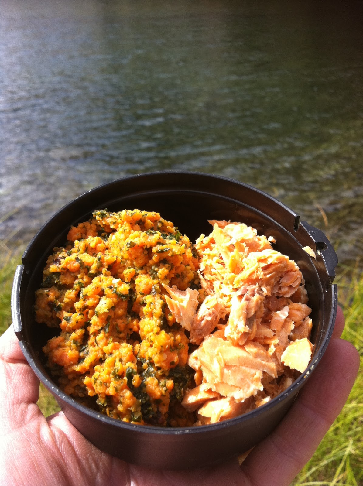 Jen's Gone Paleo Dehydrated Food for Travel, Camping, or Just Enjoying