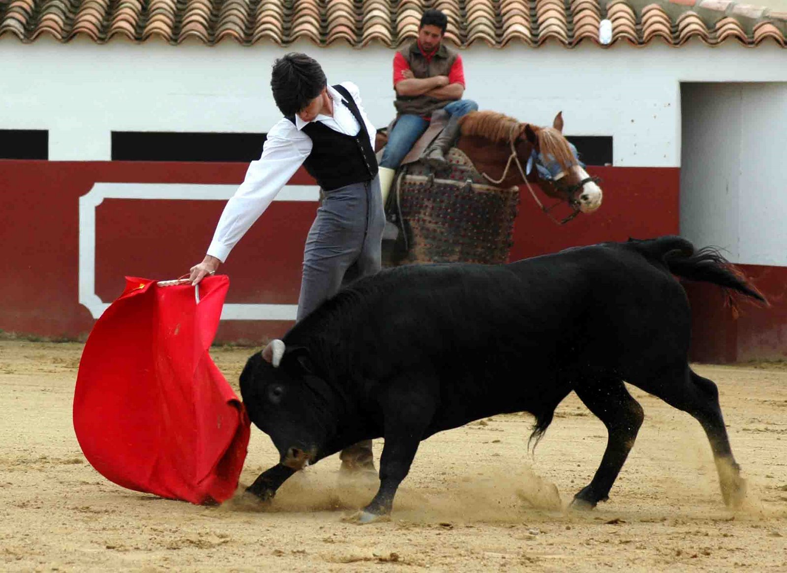 [AdriÃ¡ndeTorres.jpg]