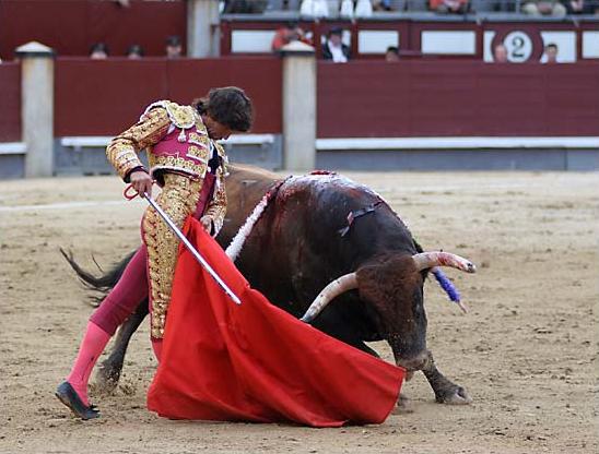 [Curro+DÃ&shy]