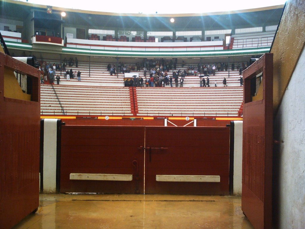 [puertasdelaplaza.jpg]