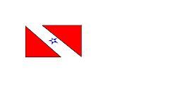 Bandeira maravilhosa!Eu amo o Pará.