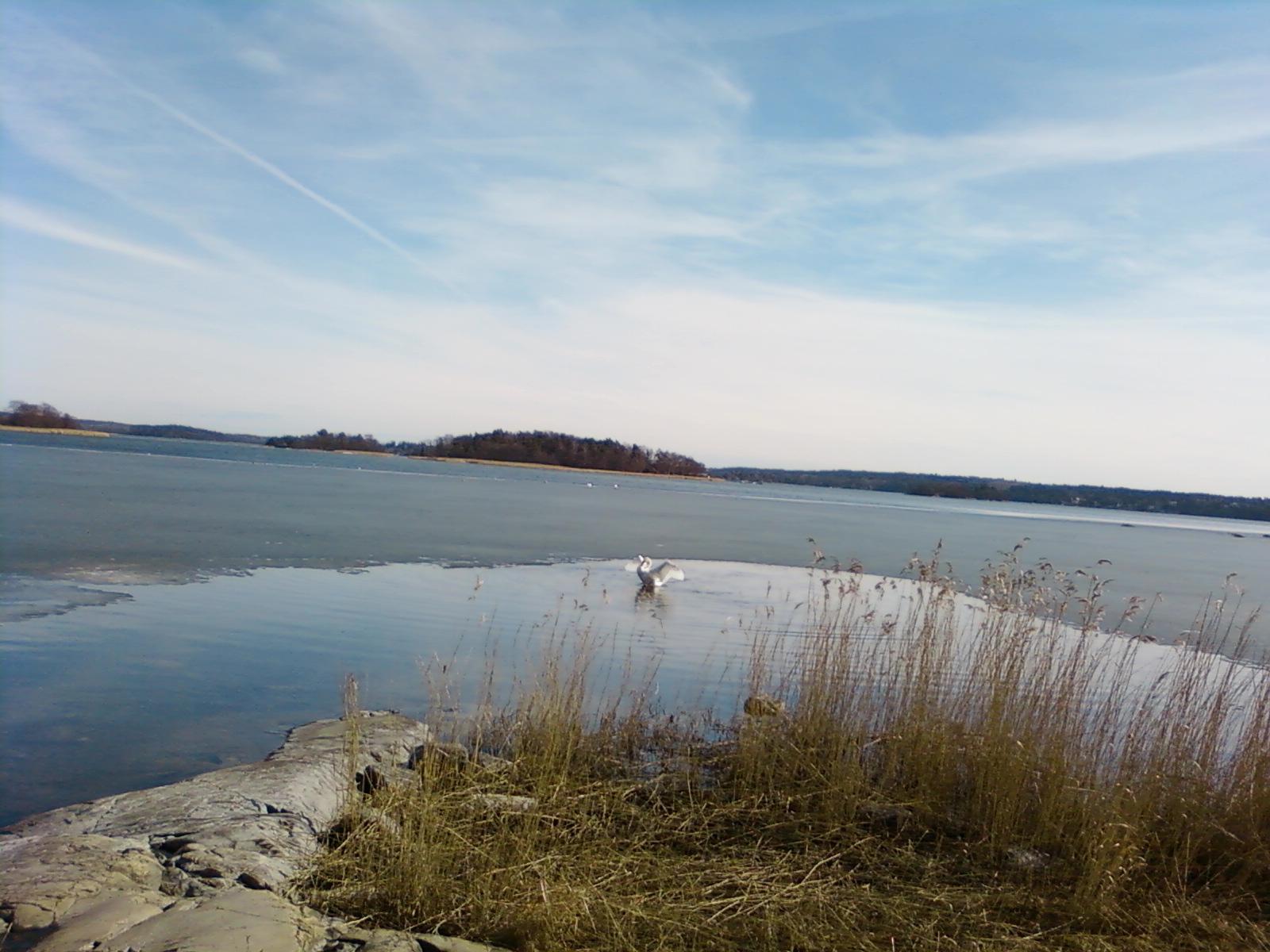 [Foto0009.jpg]