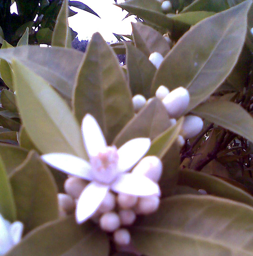 [Img068_edited.jpg]