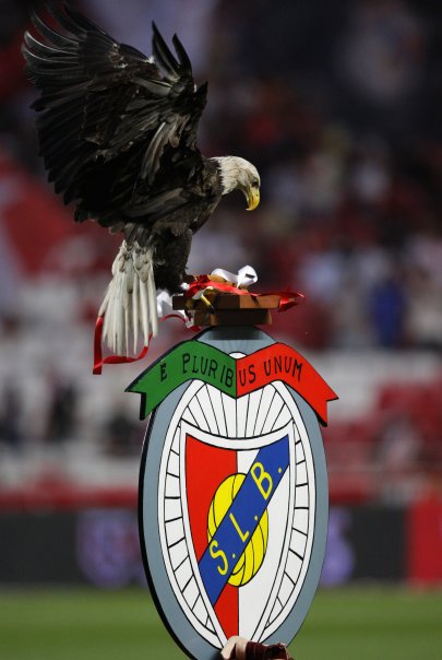 [aguia.jpg]