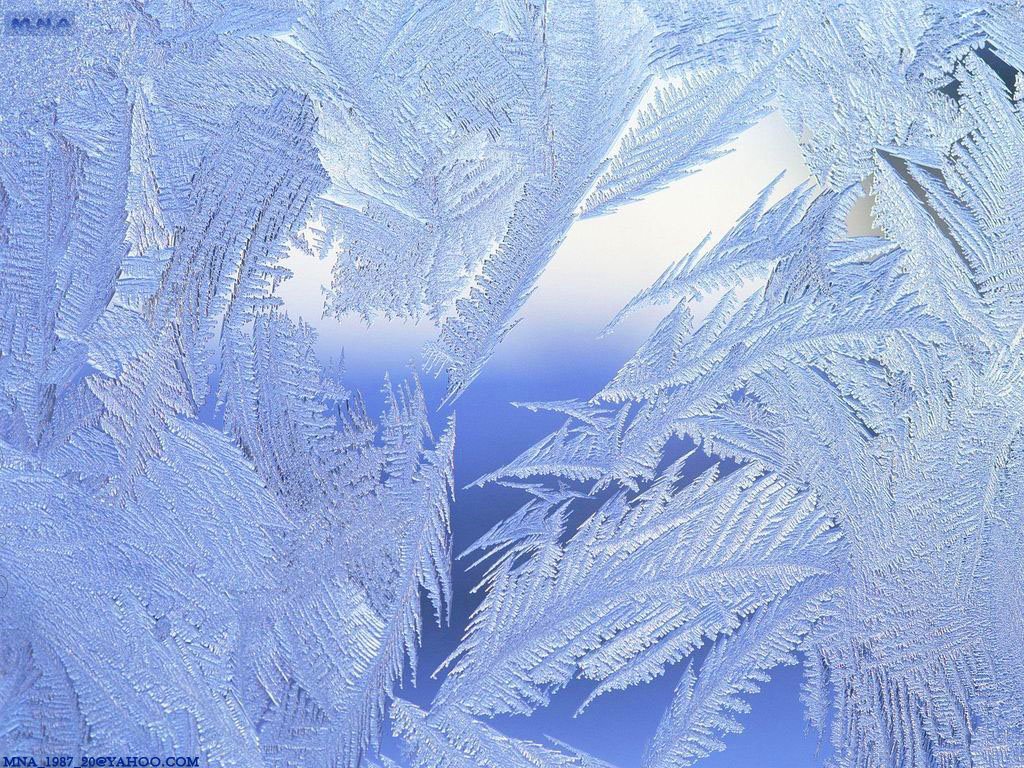 [3092650084_24700b7fcd_o.jpg]