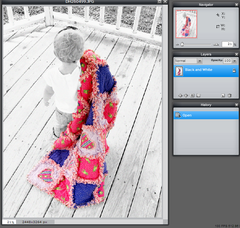 Photo Thursdays Masks How to do focal black and white Housewife