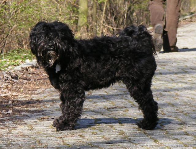 [Habca+Standbild.jpg]