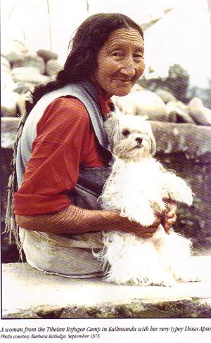 [native-tibetan-woman-with-apso1.jpg]