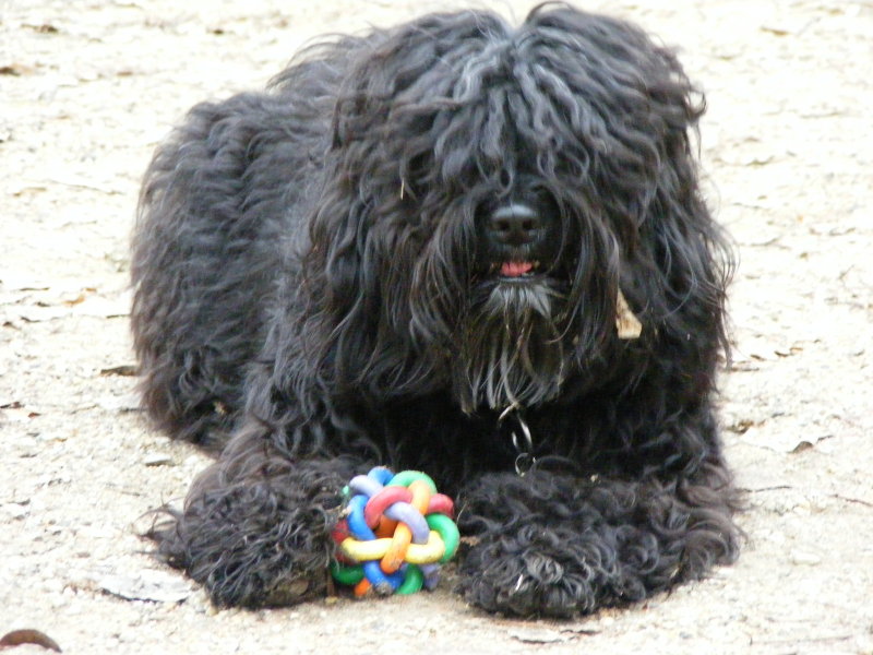 [weihnachtsball1.jpg]