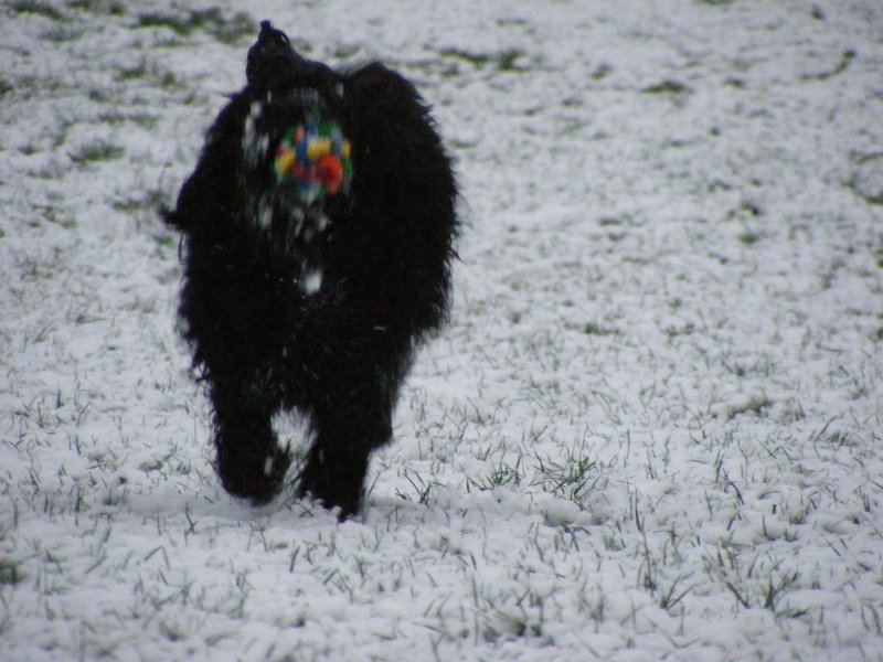 [weihnachtsball+schnee]