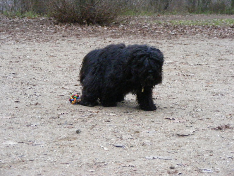 [weihnachtsball+pee.jpg]