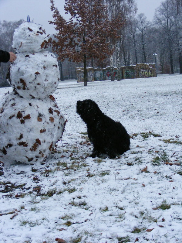 [schneemann1.jpg]