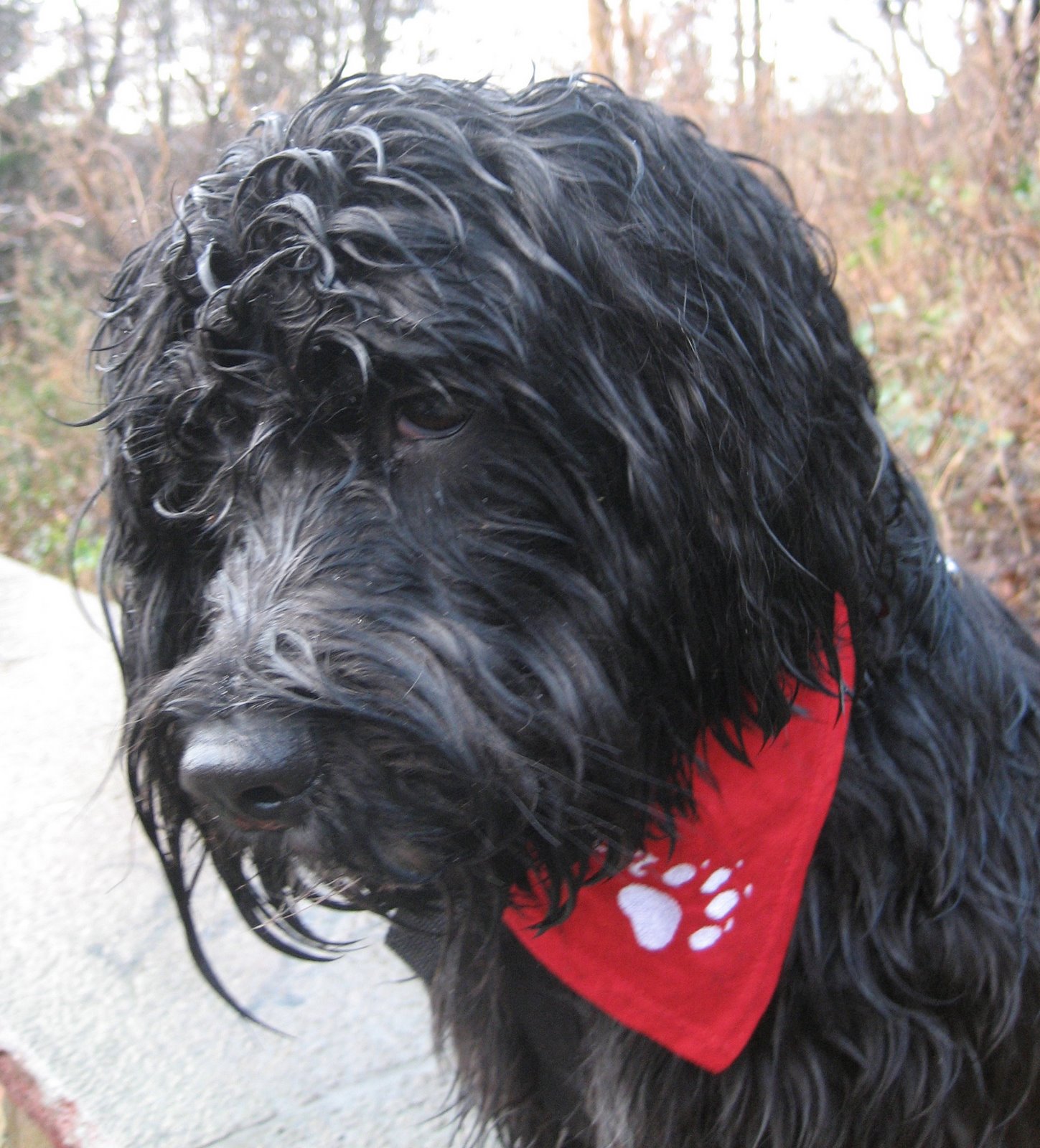 [31_12_06_Bild5.jpg]