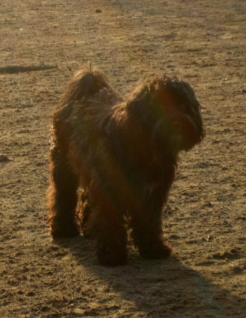 [Habbi+Standbild2.jpg]