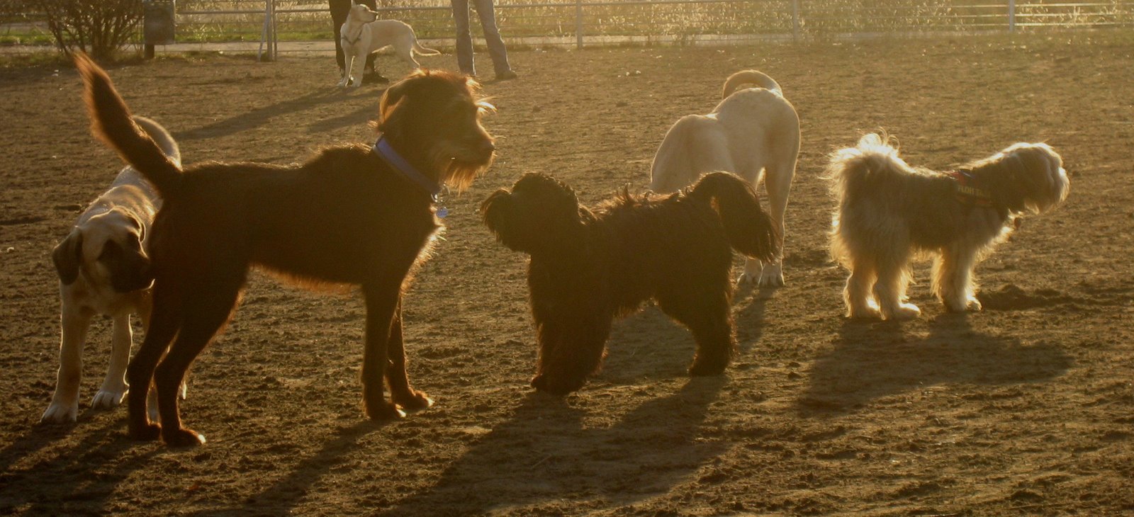 [Mauerpark2512_12.jpg]