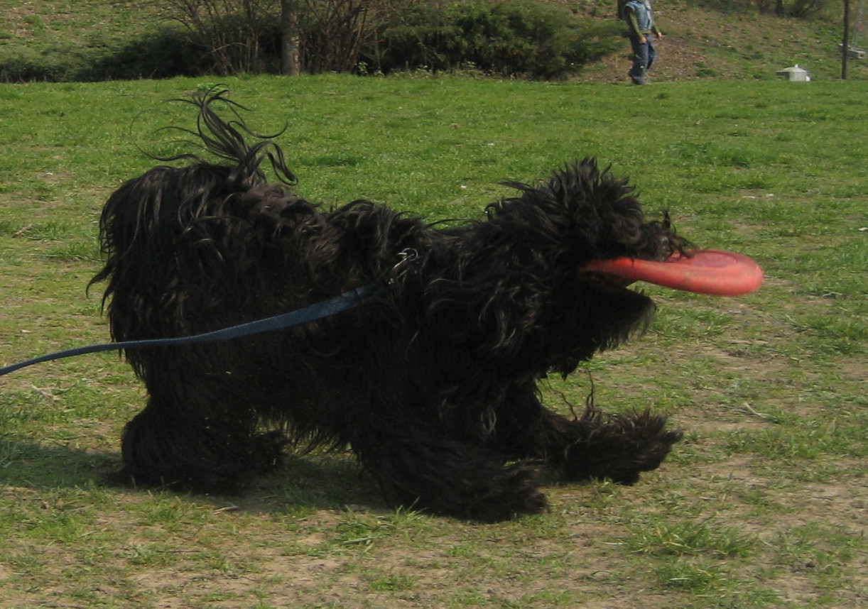 [01april07_frisbee_6.jpg]