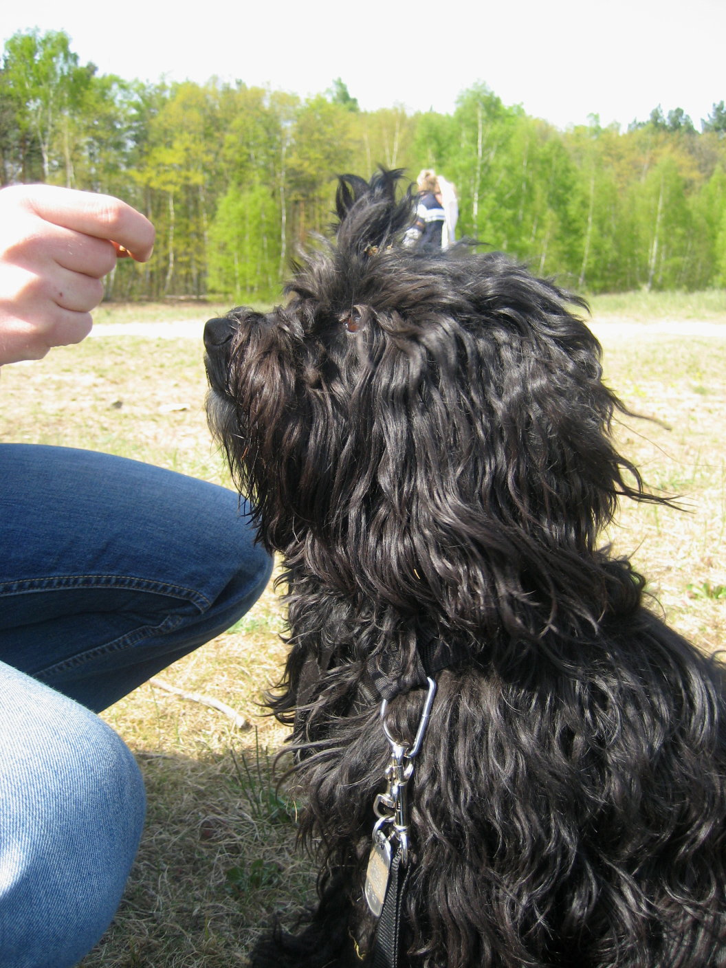 [habbi+guckuebung+ld.jpg]