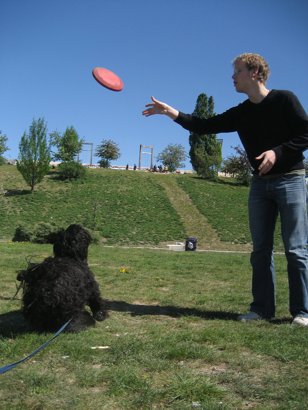 [disc+training+so29_21b.jpg]