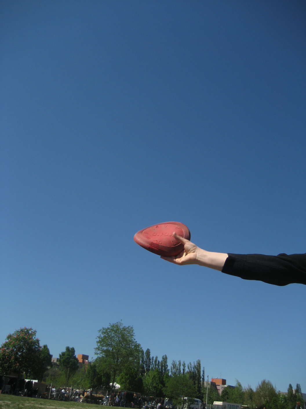 [disc+training+so29_22.jpg]