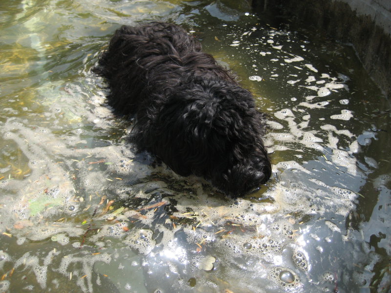 [maerchenbrunnen1.jpg]