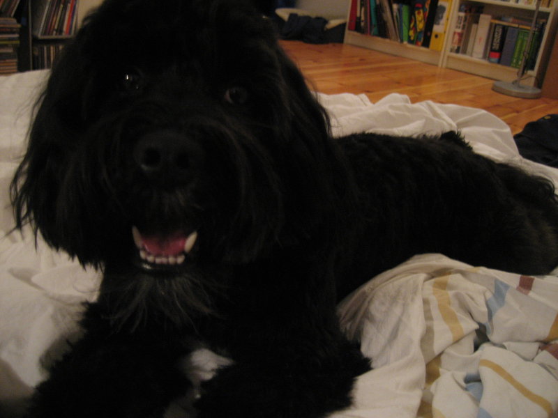 [nach+friseur15.jpg]