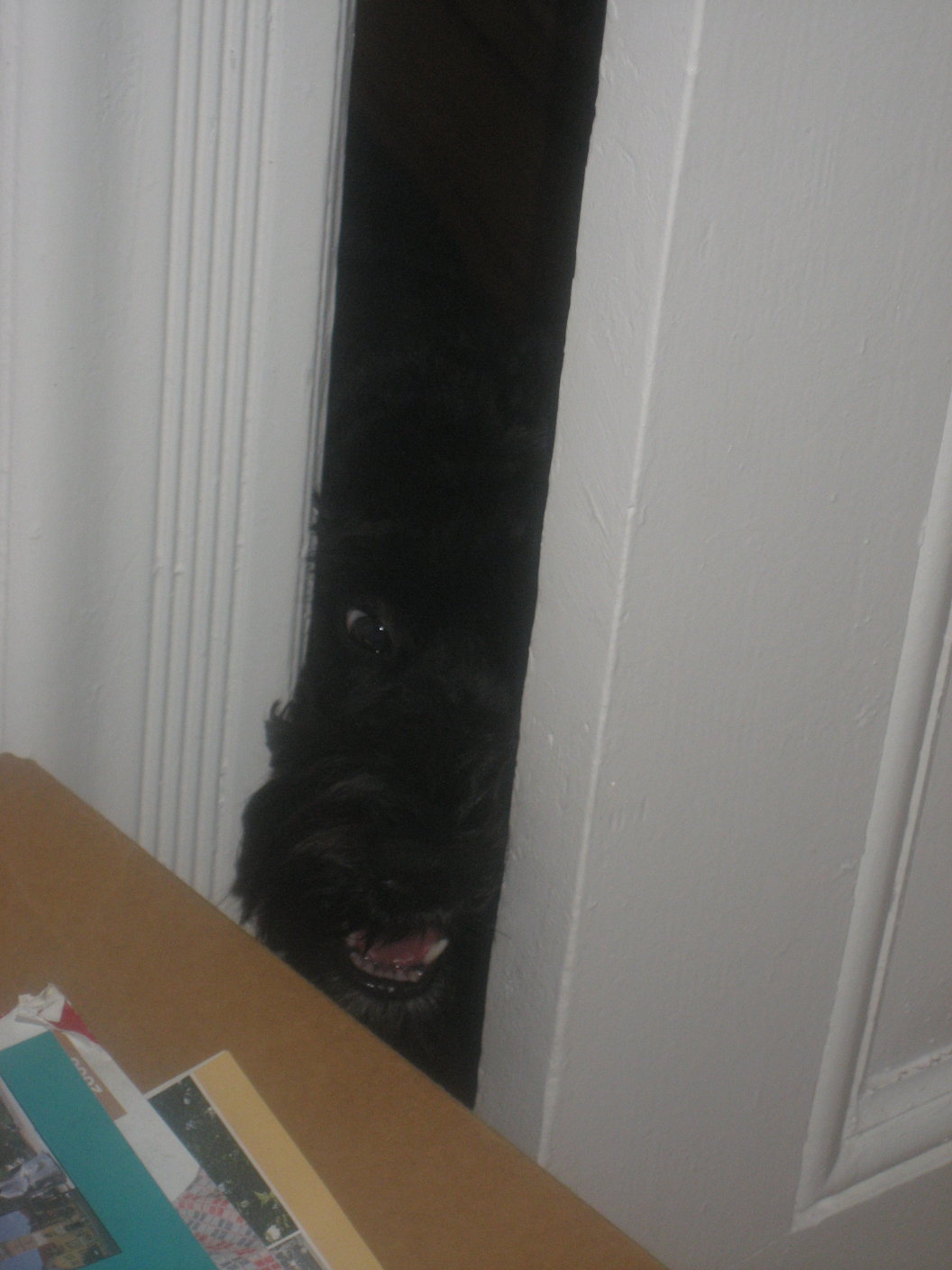 [Habca+schummelt.jpg]