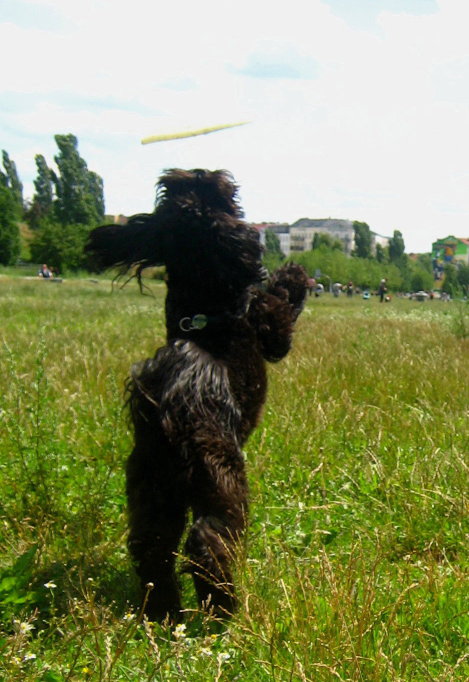 [frisbee070708_9.jpg]