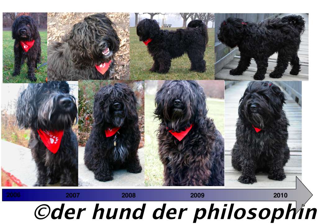 [neujahr2010wtmk.jpg]