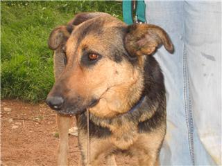 [GetAttachmentCABLQLZ2.jpg]