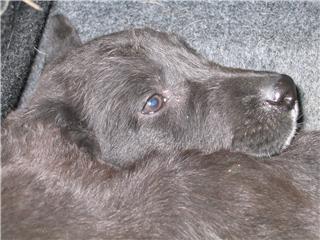 [GetAttachmentCAM47GJZ.jpg]