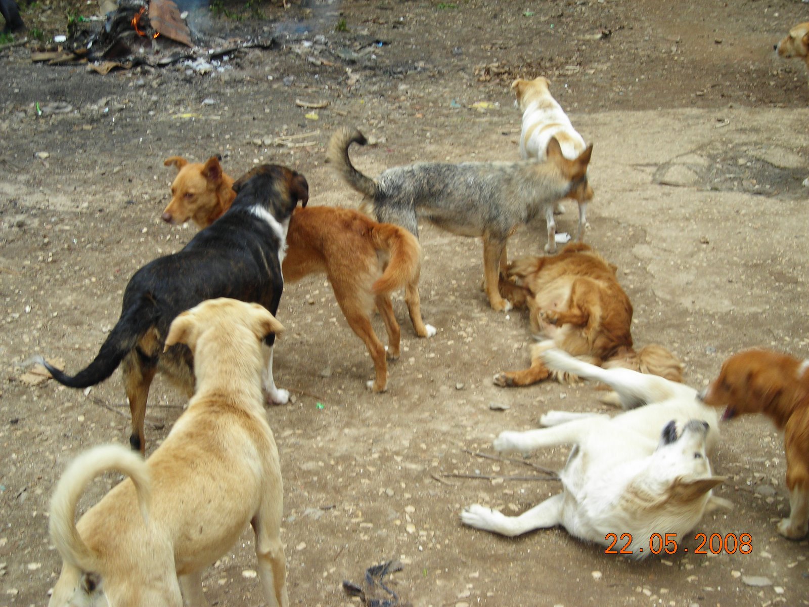 [DSCN4248.JPG]