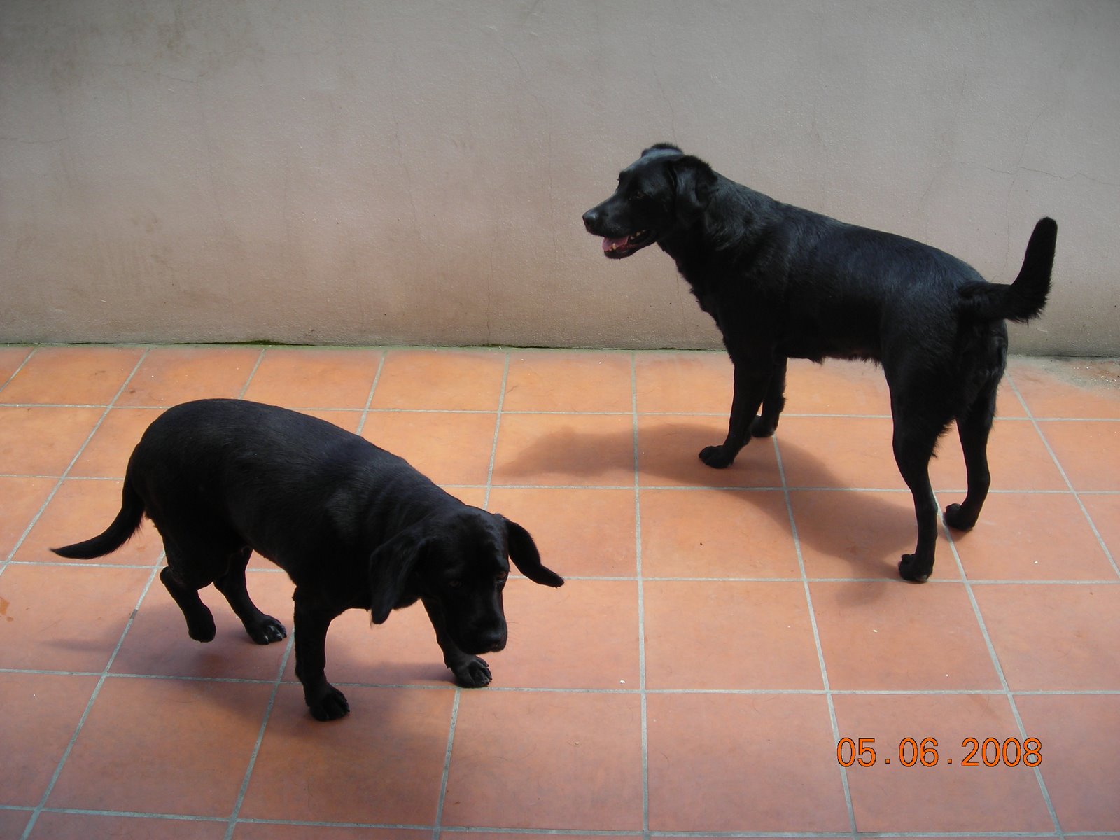 [DSCN4495.JPG]