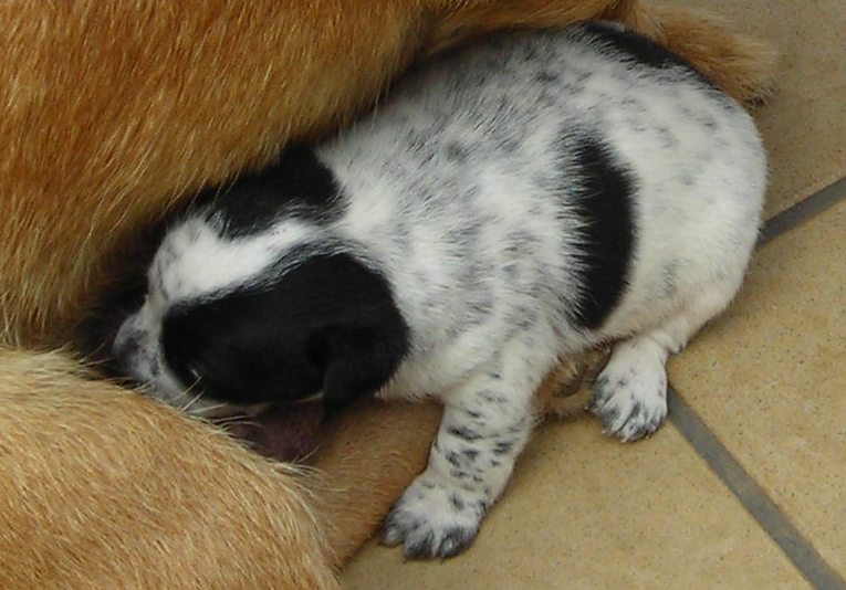 [bebe+pequeno.JPG]
