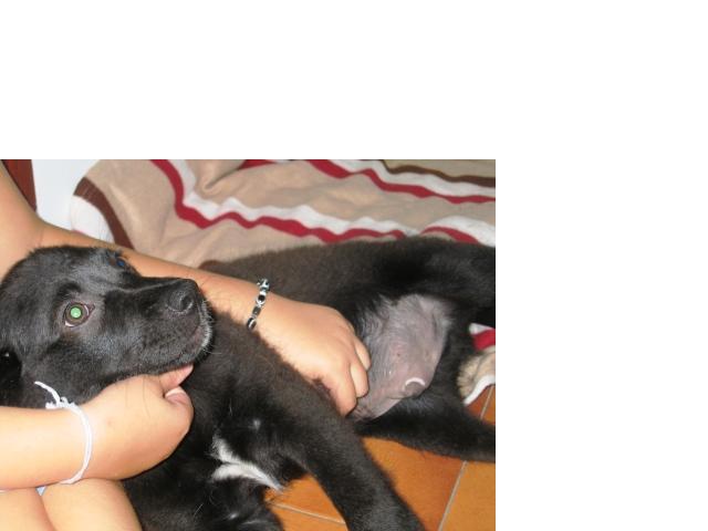 [GetAttachmentCA8LFX3A.jpg]