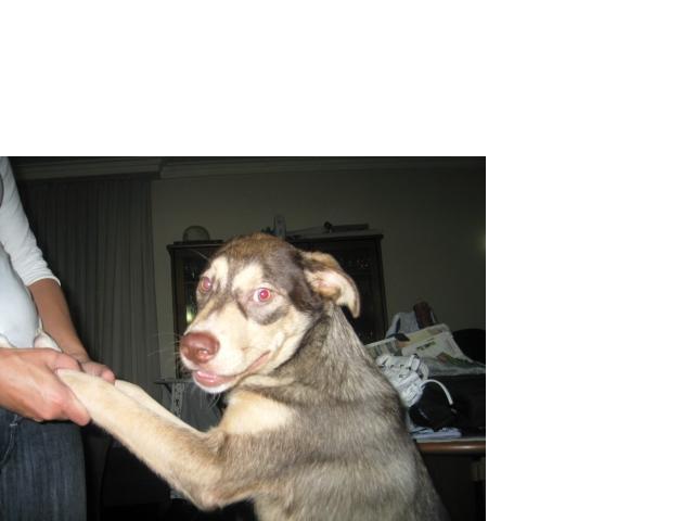 [GetAttachment1.jpg]