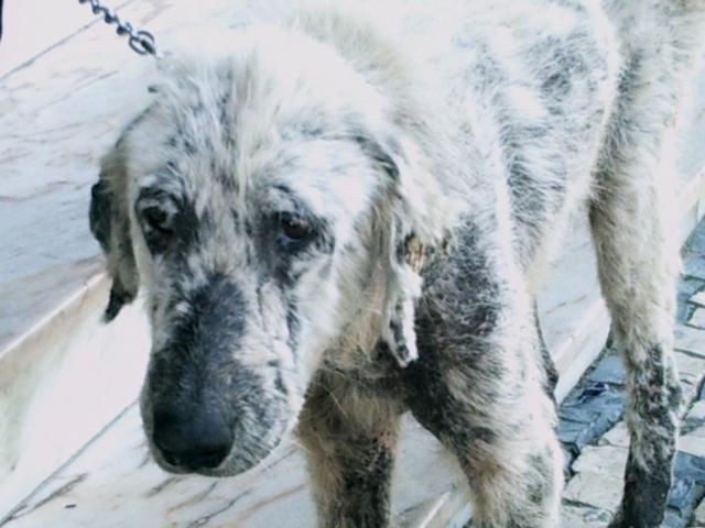 [GetAttachment4.jpg]