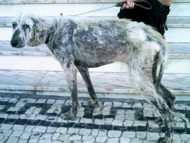 [GetAttachment2.jpg]