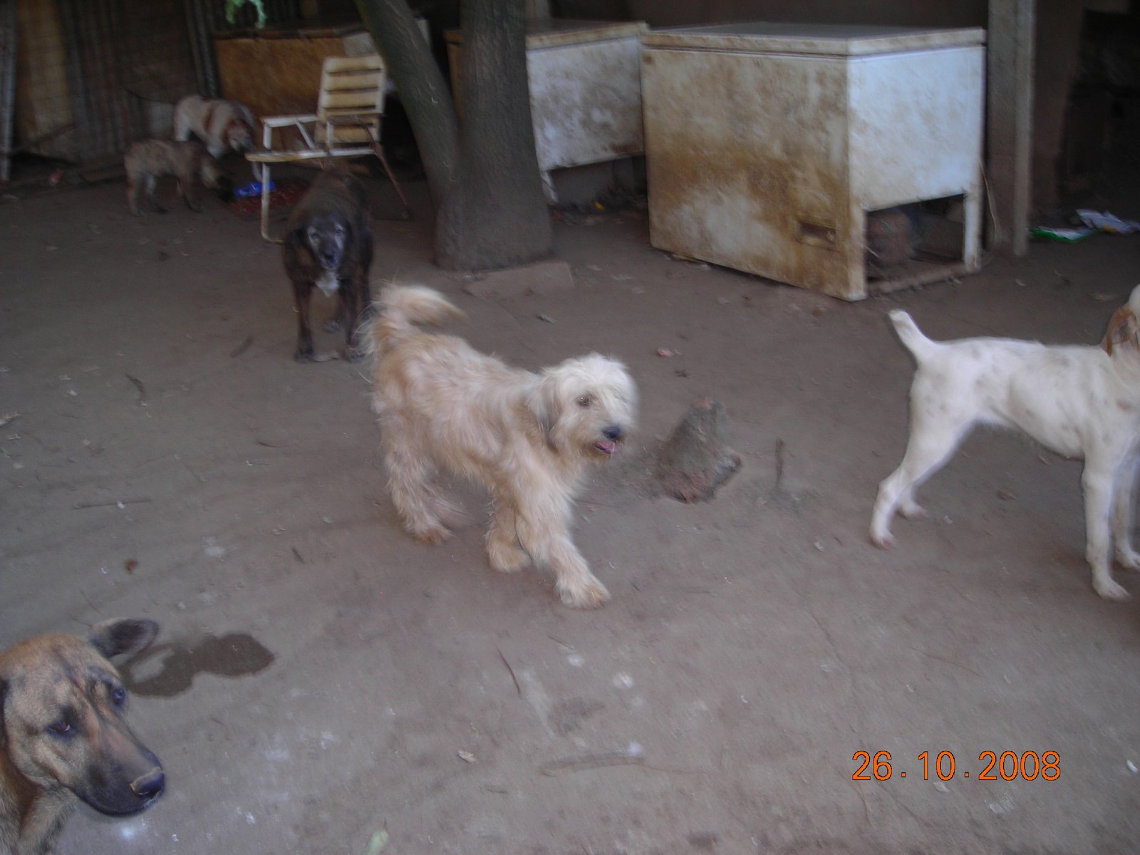 [DSCN8350.JPG]