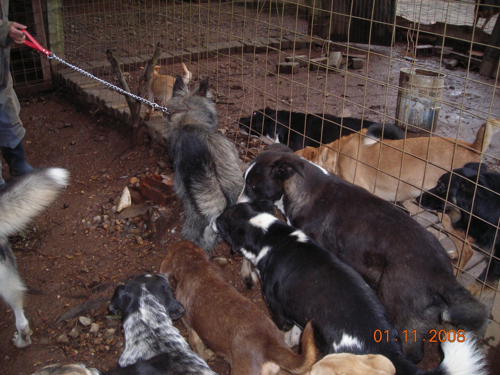 [DSCN8428.JPG]