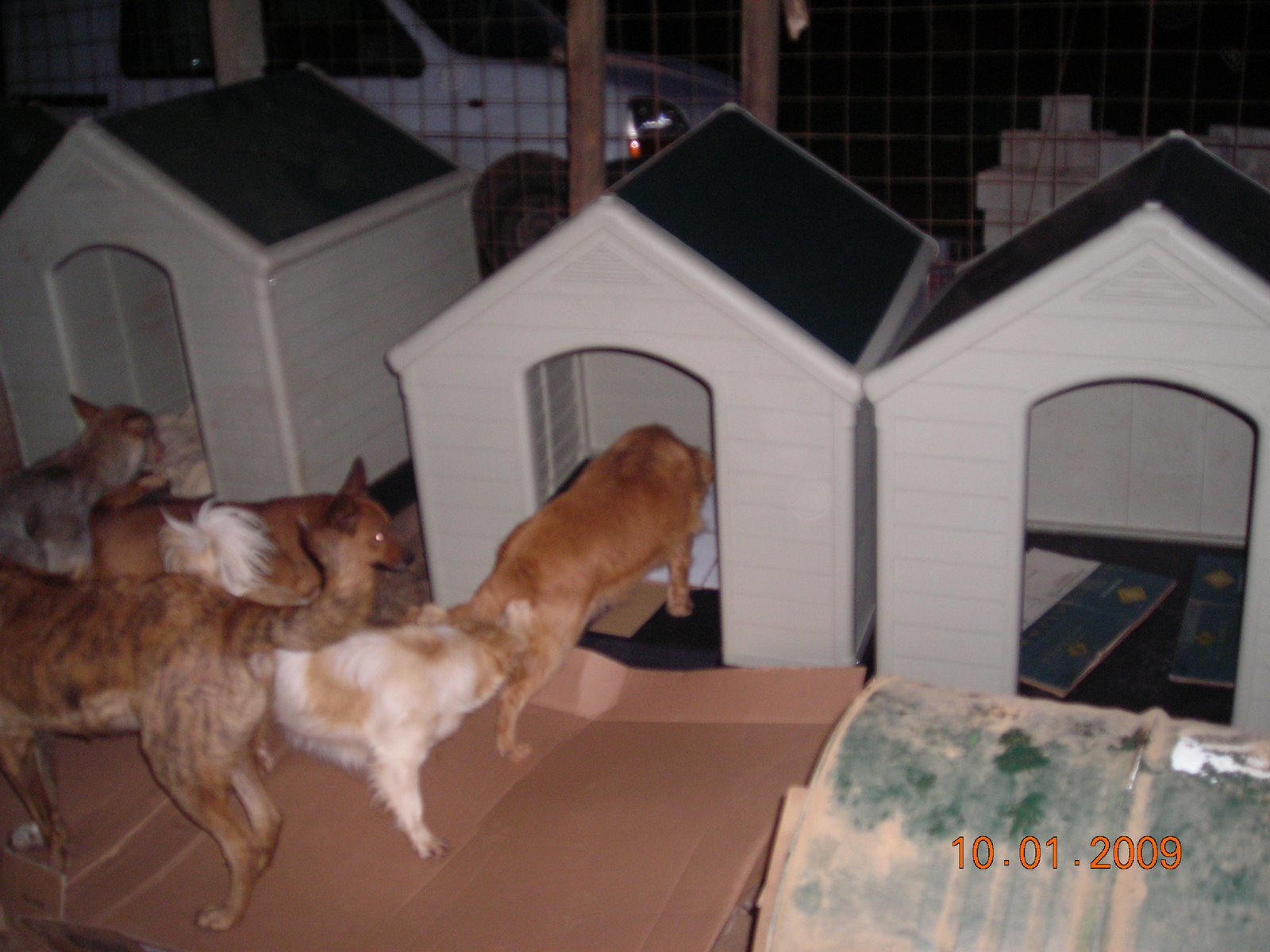 [DSCN9094.JPG]