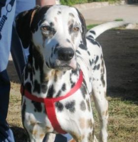 [70217582-Rafael5.jpg]