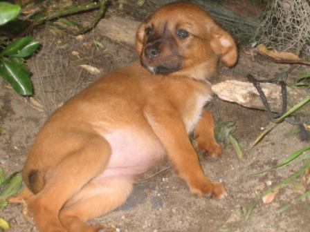 [albergaria+028.jpg]